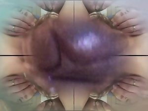 pussis لئے مچھلی فیڈ
