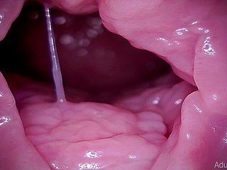 Szyjki macicy, vore, gigansa, asmr