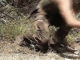 Преступления о сексуальной войне (1995)