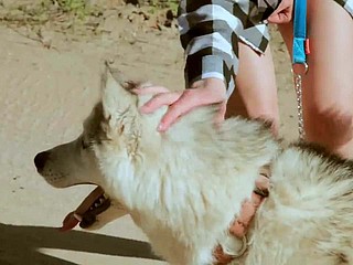 วัยรุ่นที่สวยงามใช้เวลาเดินเล่นกับสุนัข