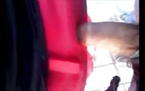 Porno-Videos Bushaltestelle